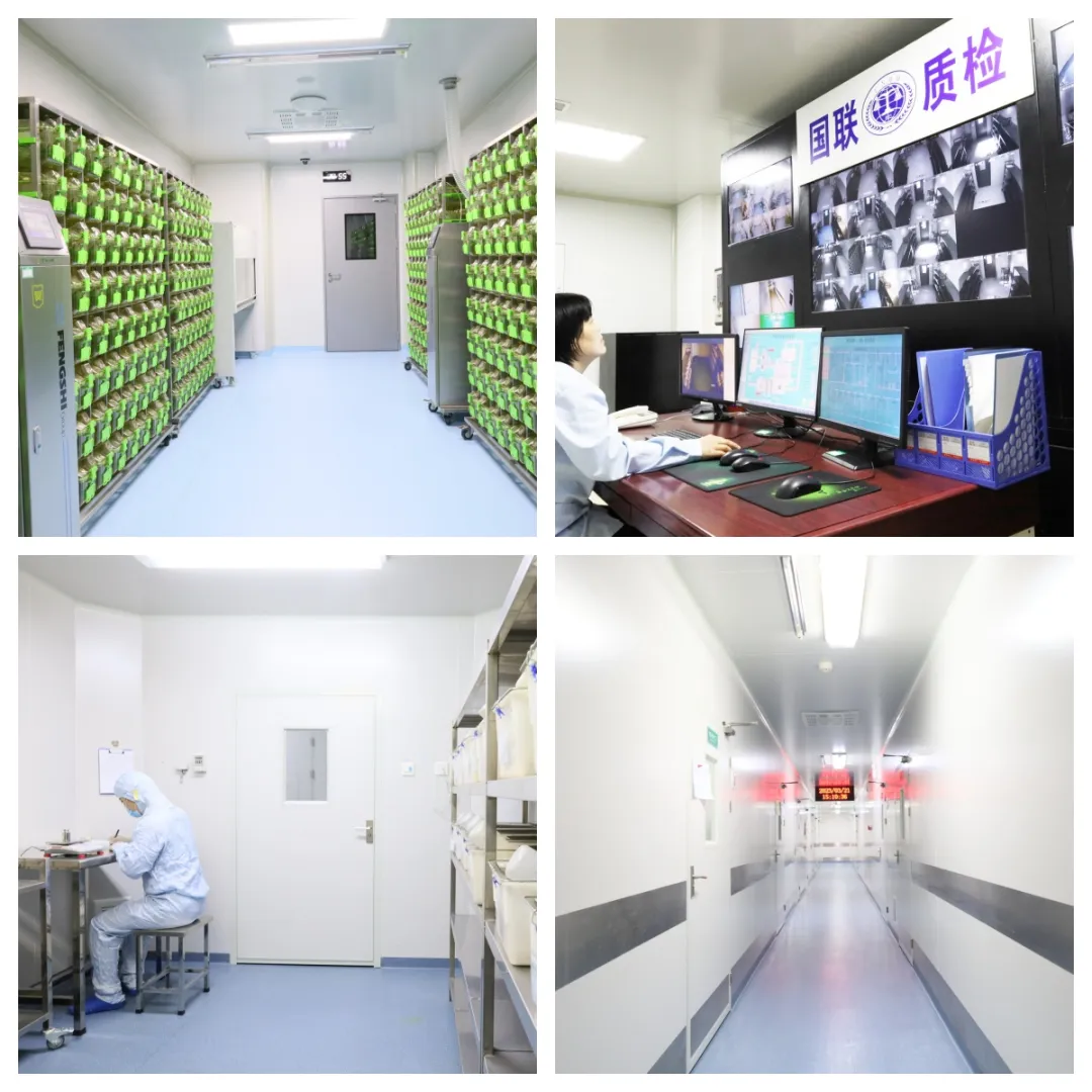 监督检查2 监督检查2.png