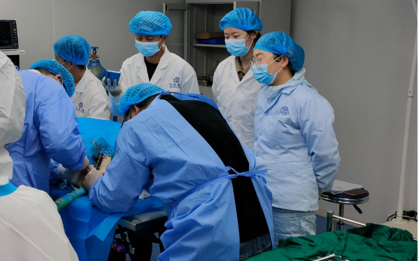 ����ͬ�� | JDB�����ʼ��ֳ�������ҽ�ơ��������롹��������