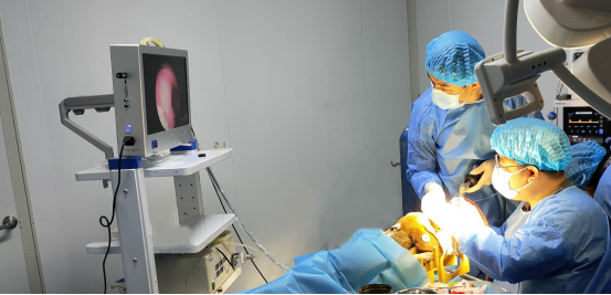 ����ͬ�� | JDB�����ʼ��ֳ�����ŵһ��������ǻ��亣�ࡱ��������