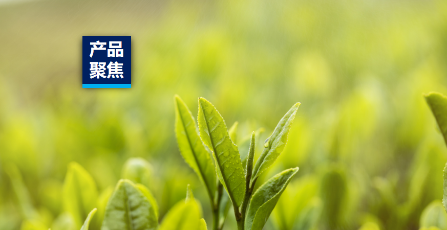 ��Ʒ�۽� | JDB�����ʼ커������ϵĲ���ζ��