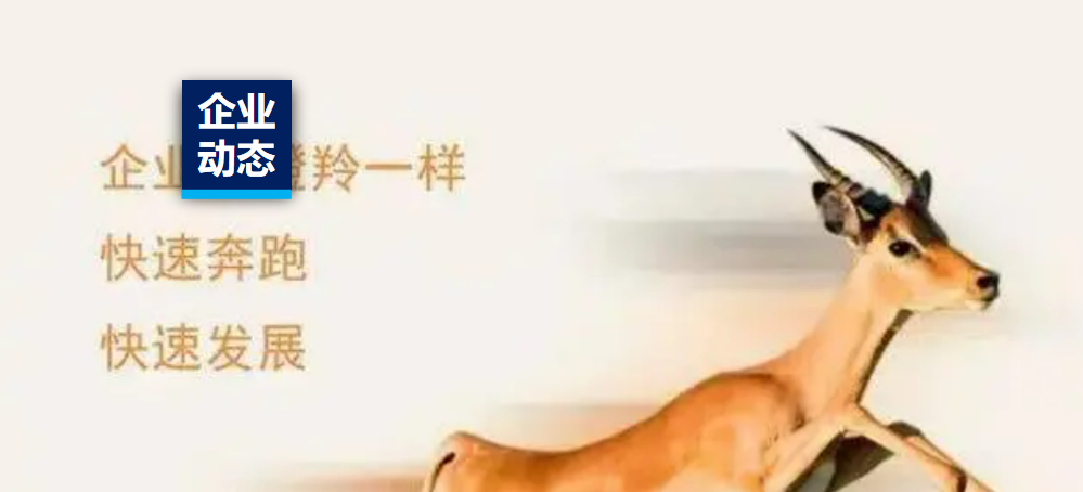 ϲ�� | ��ϲJDB�����ʼ��ֳ���ѡ2023����ʡ������ҵ��